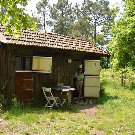 Cabane En Foret Onesse-et-Laharie Екстер'єр фото