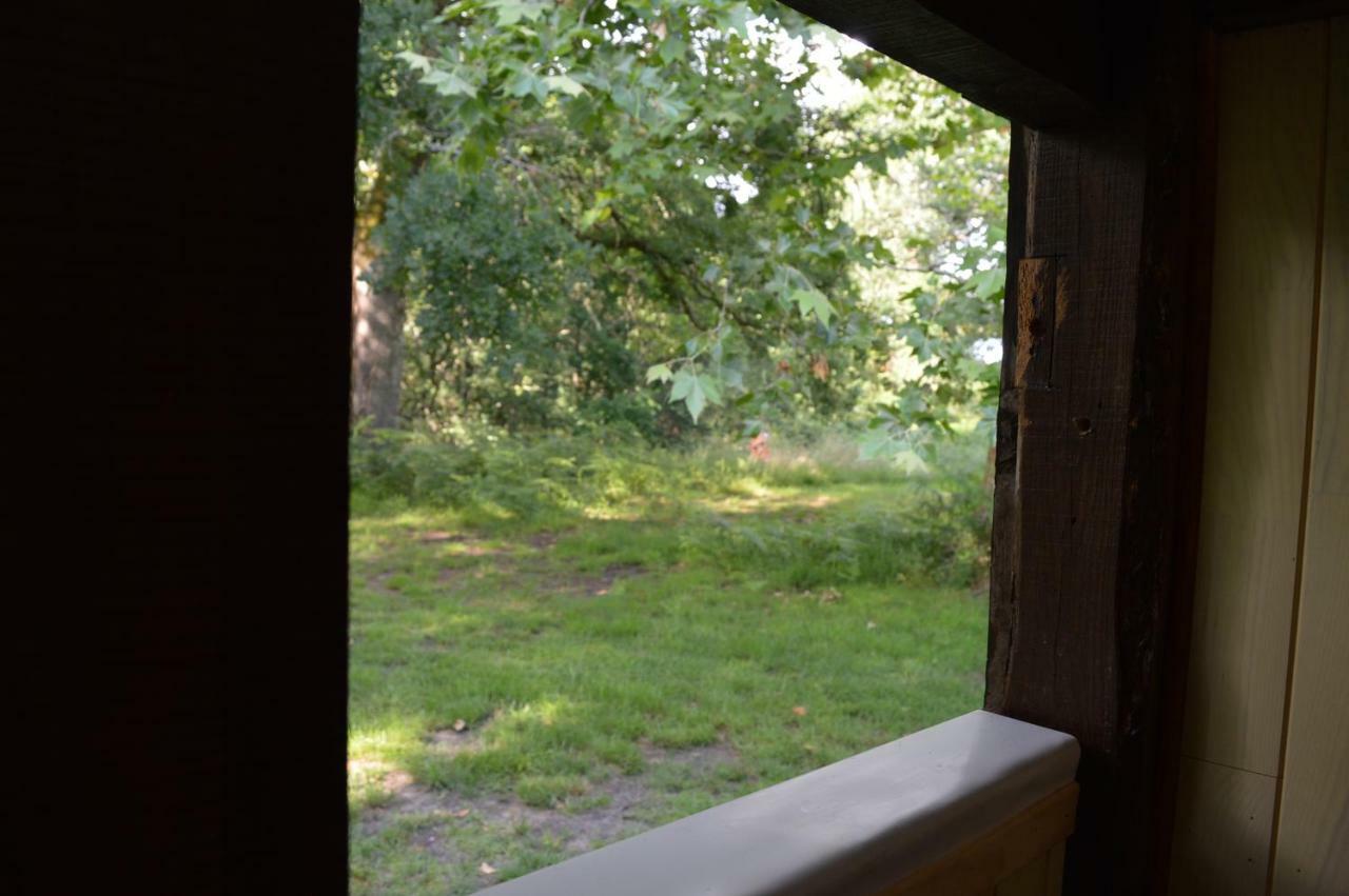 Cabane En Foret Onesse-et-Laharie Екстер'єр фото
