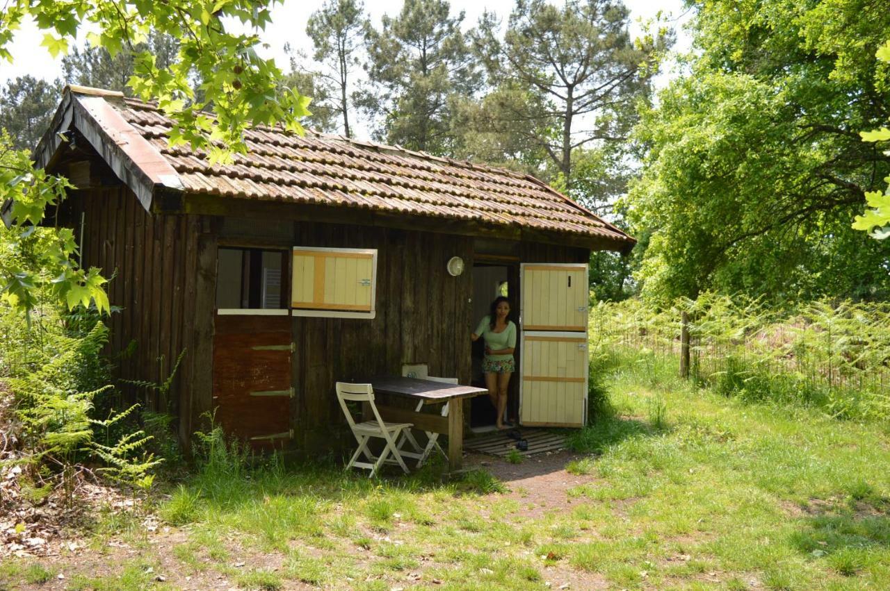 Cabane En Foret Onesse-et-Laharie Екстер'єр фото