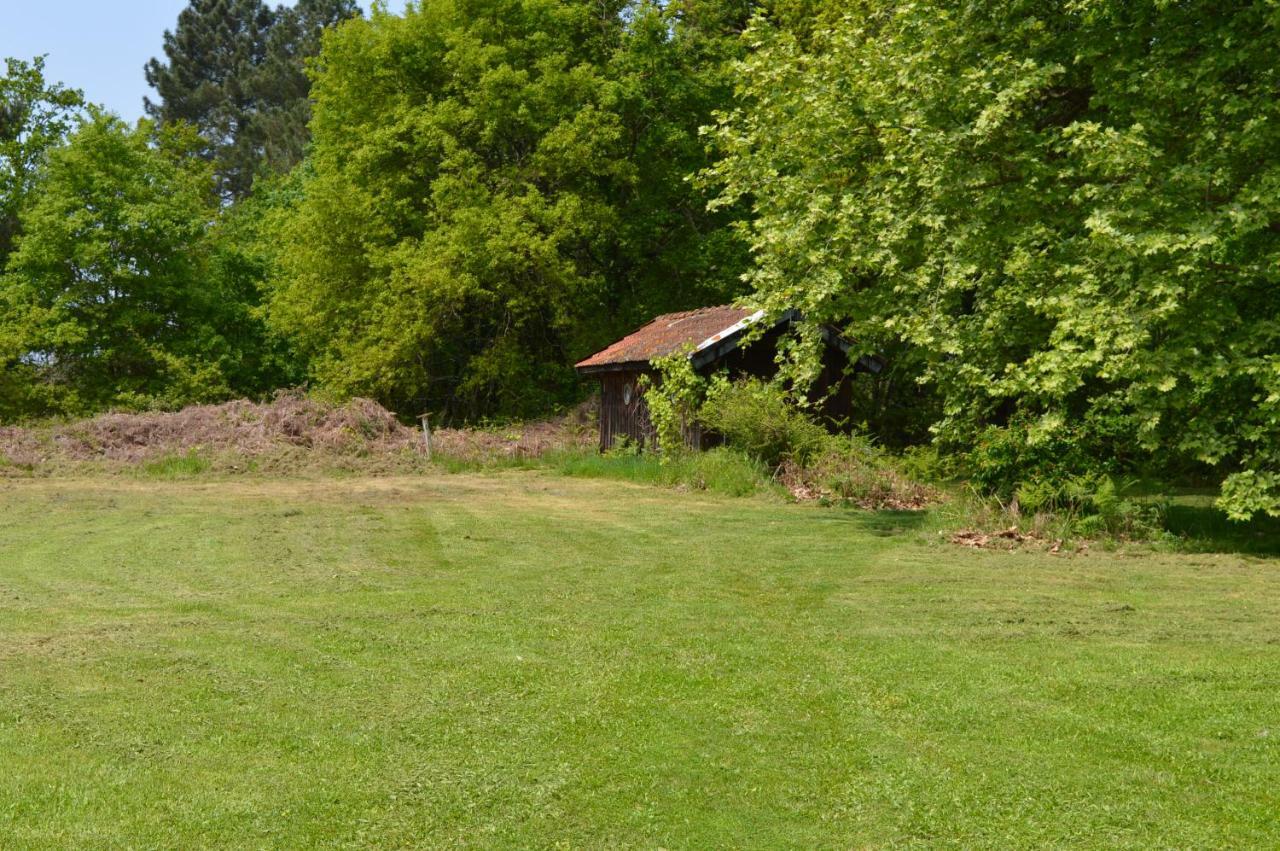 Cabane En Foret Onesse-et-Laharie Екстер'єр фото