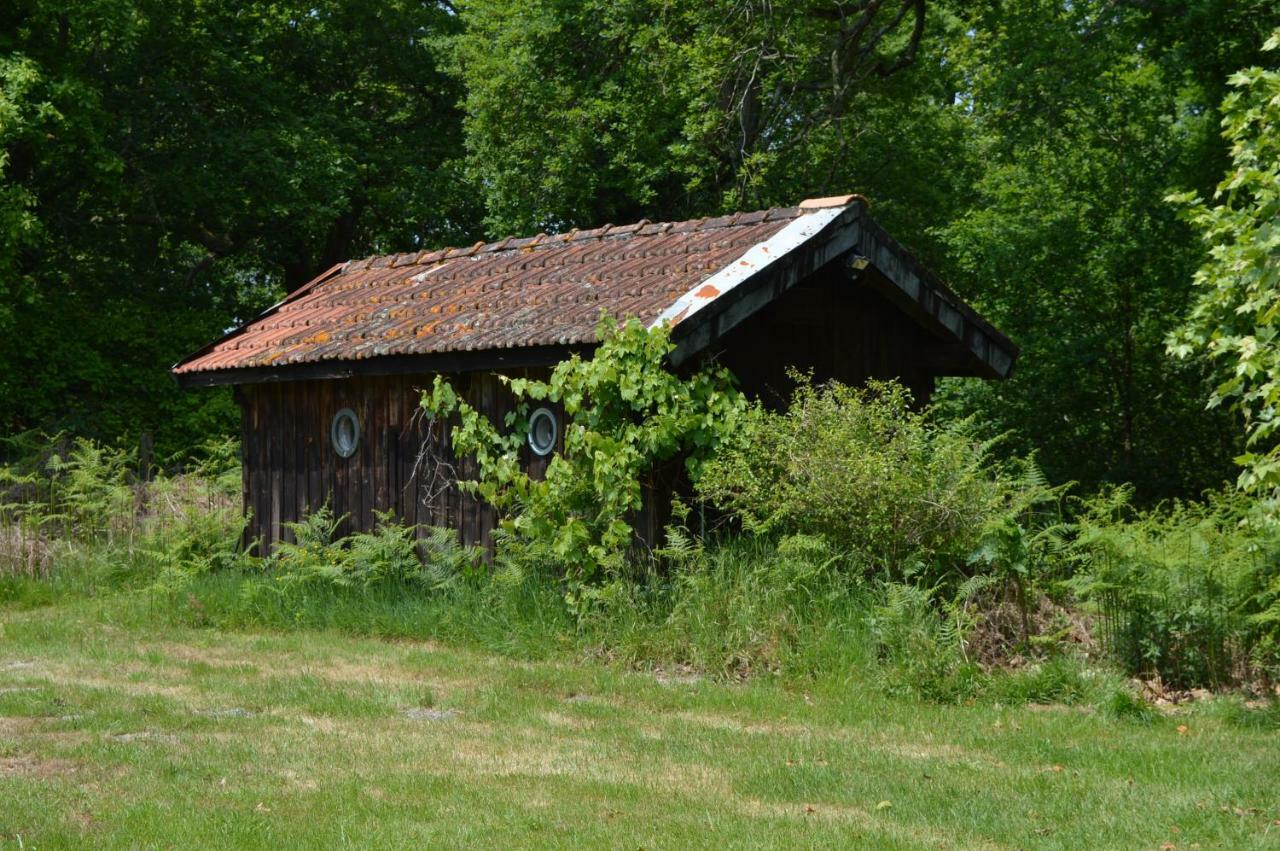 Cabane En Foret Onesse-et-Laharie Екстер'єр фото